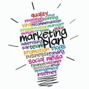 Online Marketing Management + bedrijfsplan maken